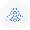Bee Nest Removal Harpenden
