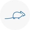 Mice Exterminators In Harpenden