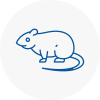 Rat Control Harpenden