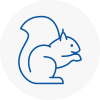 Harpenden Rodent Removals